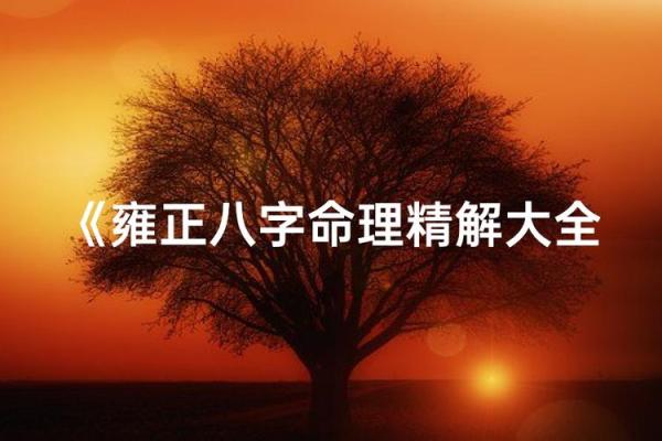 雍正八字,雍正八字贵在何处