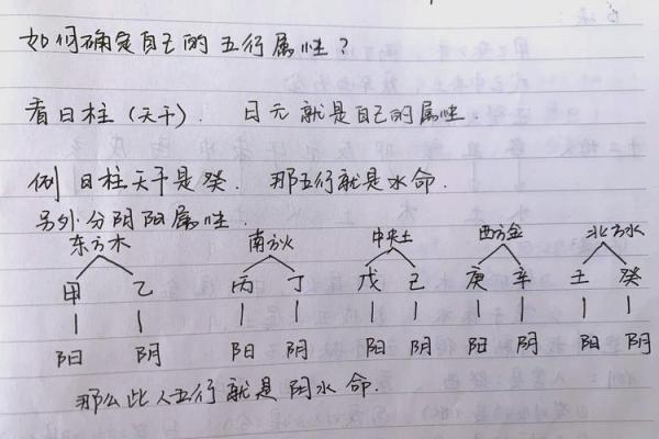 2024年正月二十三出生的孩子命运如何 五行八字命理取名