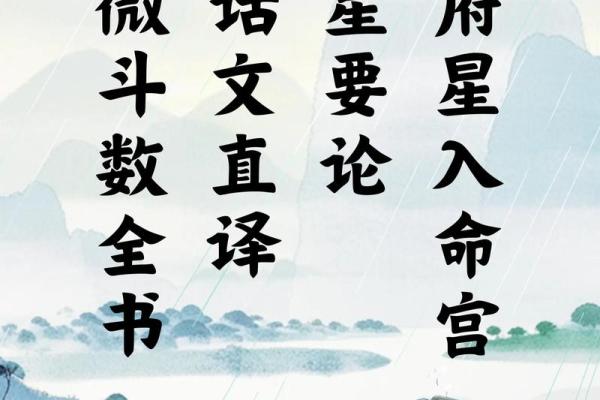 我是紫薇斗数
