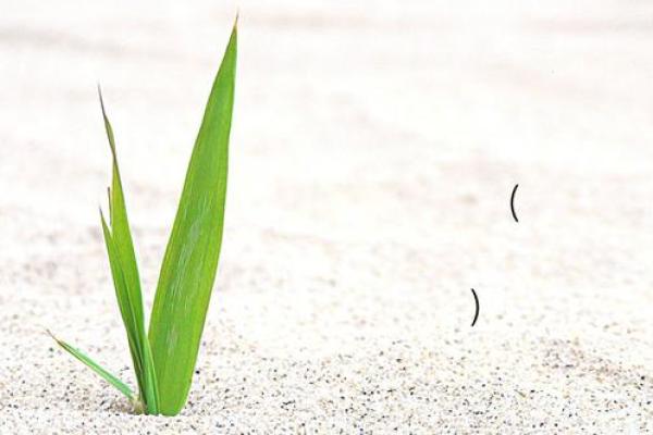 吕祖灵签78签解签