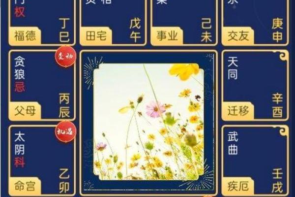 青龙紫薇斗数命宫