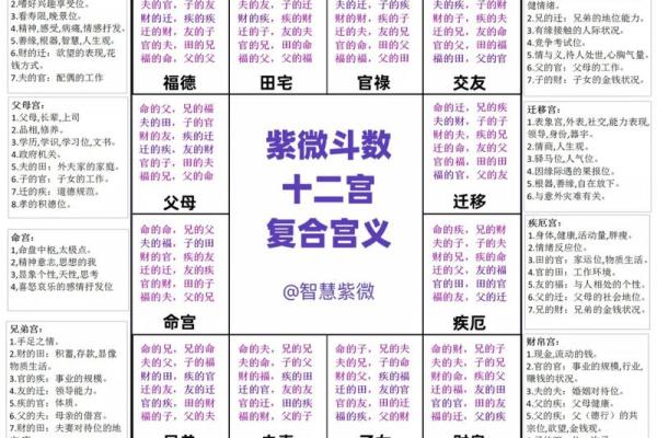 紫薇斗数田宅紫薇