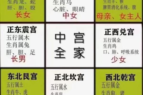 风水与人类健康，什么是风水病