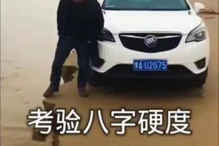 八字硬什么意思