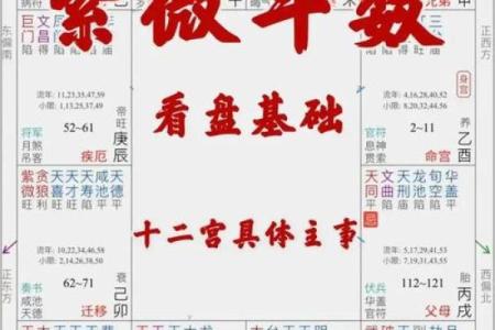 紫薇斗数子女宫性