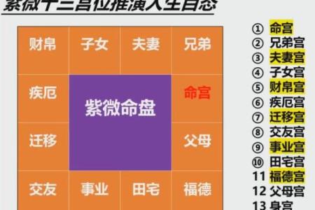 紫微斗数父母宫详解,紫微斗数中父母宫什么意思