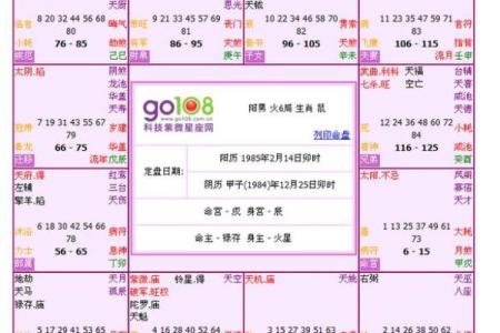 紫微斗数诸星落命宫之：阴煞星详解