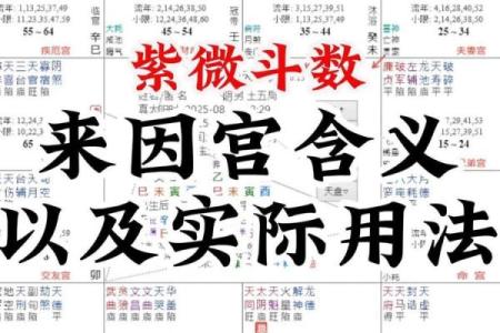 紫薇斗数的申宫是什么五行