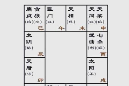 紫薇斗数七杀怕陀螺么