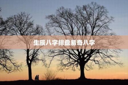 易奇八字每日运程,算命八字排盘软件下载