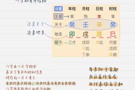 命运树算命