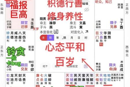 紫薇斗数批八字模式