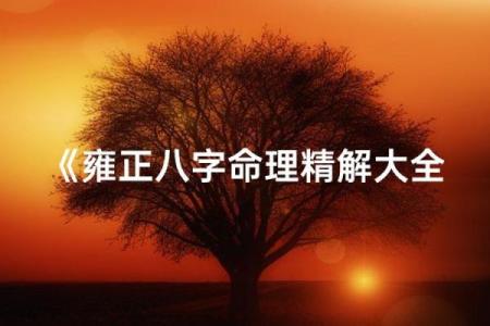 雍正八字,雍正八字贵在何处