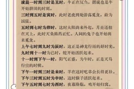生辰八字生肖