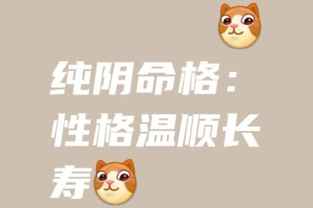 八字纯阴
