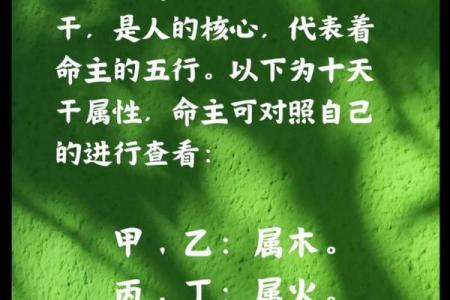 2024年10月28日农历九月二十三出生的人八字是什么