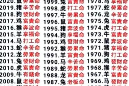 算命的人有几种命