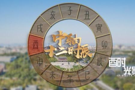 酉时八字
