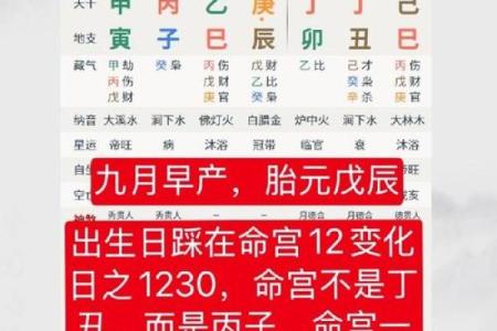胎元八字