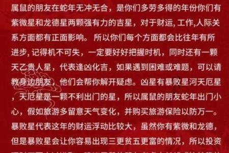 属鼠人风水吉凶方位，如何开运
