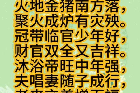 八字基础入门实战：44集高级内容 #国学文化