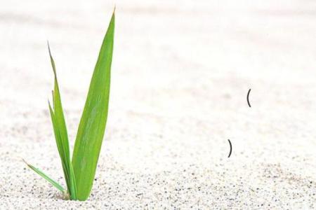 吕祖灵签78签解签