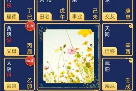 青龙紫薇斗数命宫