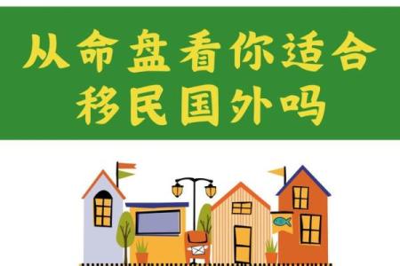 移民八字