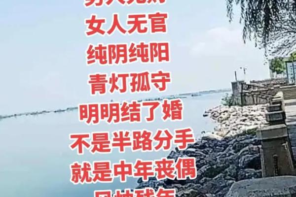 八字疼老公