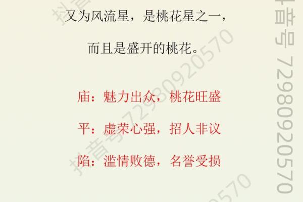 紫微斗数官禄宫天姚
