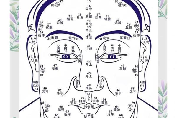 面相算命入门什么是三停 面相基础知识