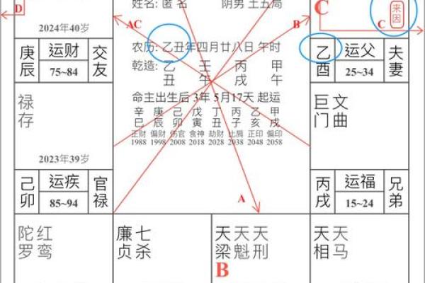 紫薇斗数双化科