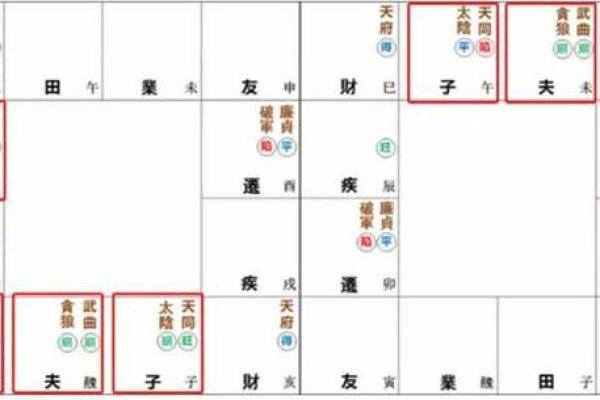 紫薇斗数批流月