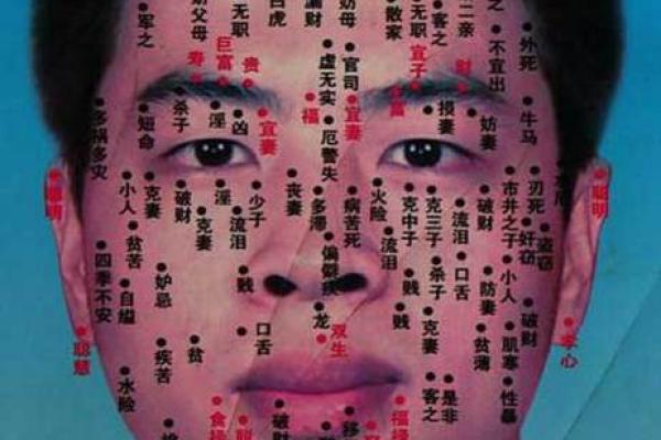 面相额头痣相图解算命