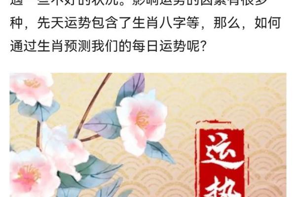 八字每日运程测试