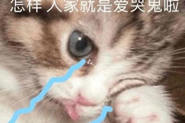 八字爱哭