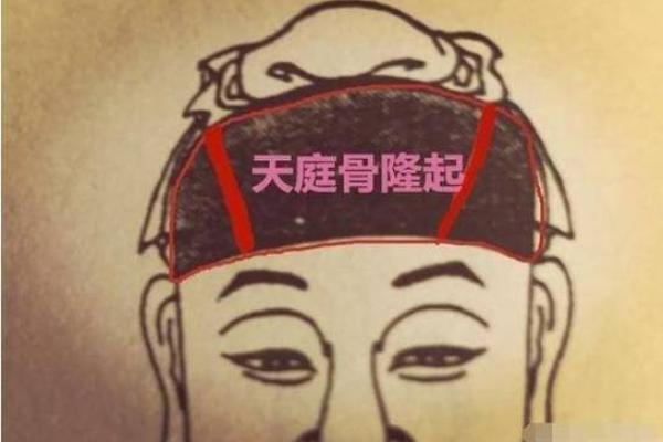 风水中青龙与人之富贵贫贱寿夭