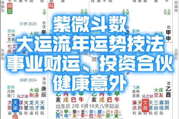 紫薇斗数今日运势