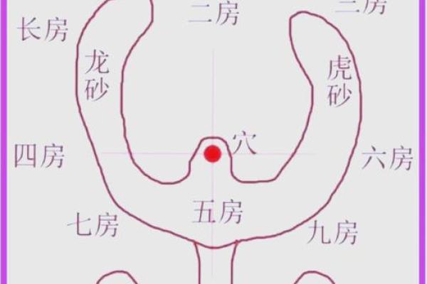 房子风水谁最准确图片