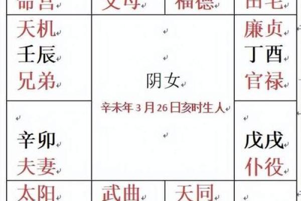 紫薇斗数命盘案例