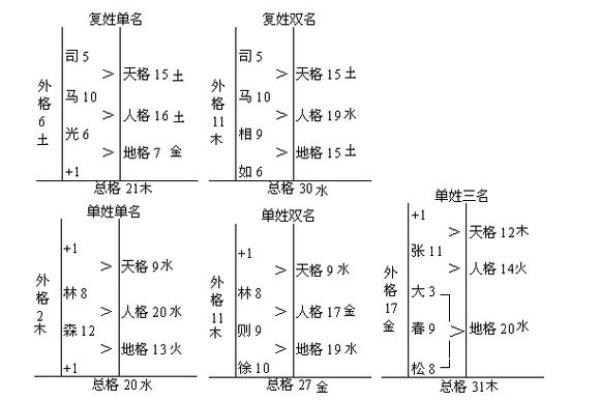 紫薇斗数外格