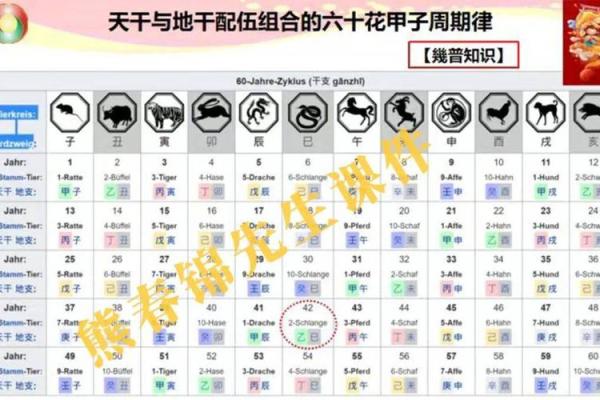 紫薇斗数测国运