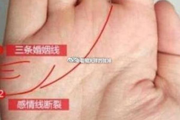 看手相算命婚姻