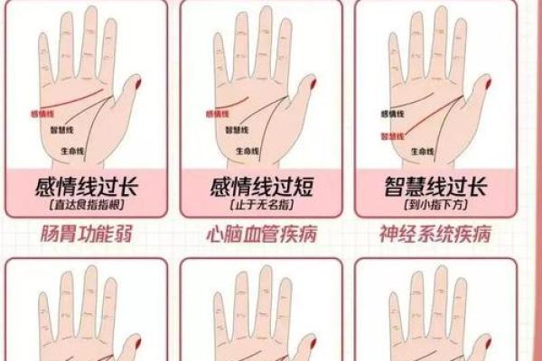 梦见看手相算命