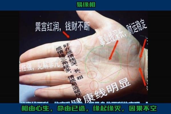梦见看手相算命