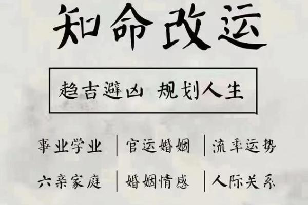 大师帮忙算命视频全集
