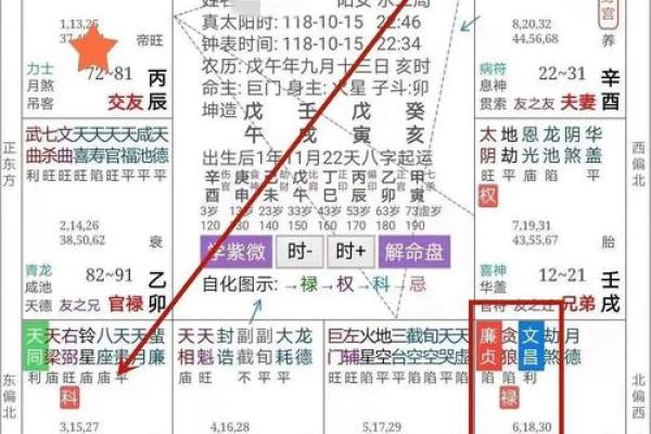 紫薇斗数小说免费