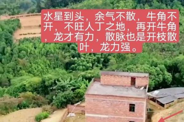 房子长期不住人，这些风水影响可别忽略！