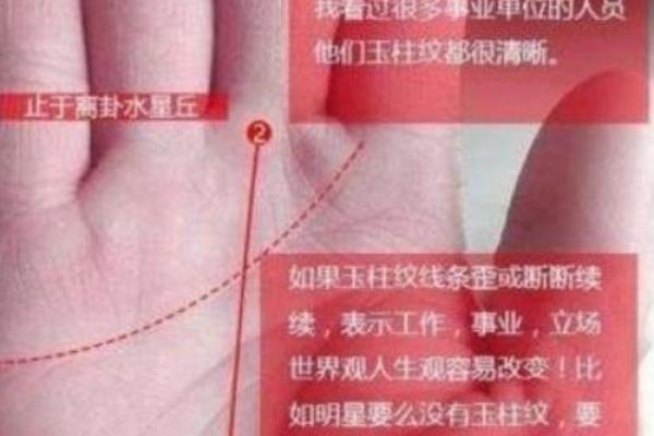 生命线上有三角纹是好兆头吗手相风水