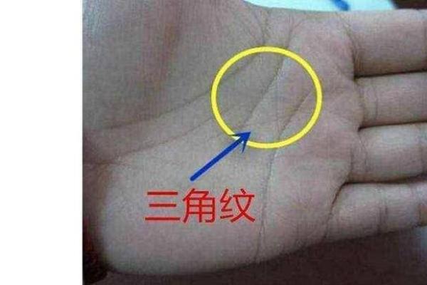 生命线上有三角纹是好兆头吗手相风水